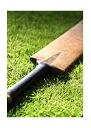 Image result for First Cricket Bat