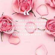 Image result for Pink Rose Quotes