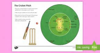 Image result for Diagram of Cricket Pitch