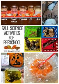 Image result for Fall Kindergarten Science Activities
