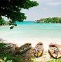 Image result for Caribbean Beach Jamaica