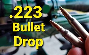 Image result for 223 Bullet Damage