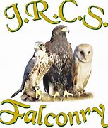 Image result for Dublin Falconry