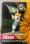 Image result for Iowa Wild Hockey Mascot Crash