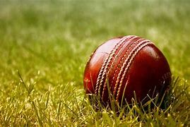 Image result for Cricket Images. Free