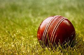 Image result for Cricket Pitch Wallpaper