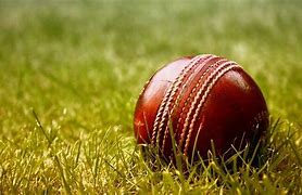 Image result for Cricket Wallpaper