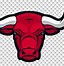 Image result for Chicago Bulls Art