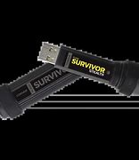 Image result for Survivor Stealth 1TB Flashdrive