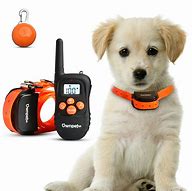 Image result for Pet Trainer Collar