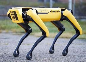 Image result for Robotic Pets