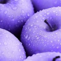 Image result for Blue Purple Apple