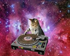 Image result for Crazy Galaxy Cat