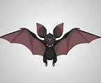 Image result for Funny Bat Pictures