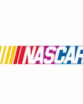 Image result for NASCAR 38