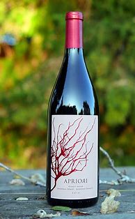 Image result for Apriori Pinot Noir Sonoma Coast