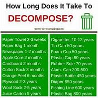 Image result for How Long Does It Take to Decompose