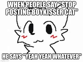 Image result for Whatever Cat Meme