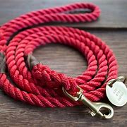 Image result for Strong Pit Bull Leash