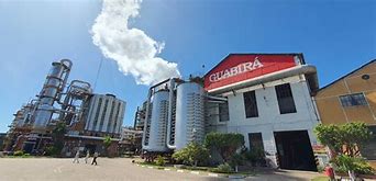 Image result for guabir�