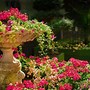 Image result for 100 Square Meter Garden