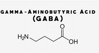 Image result for Gaba Amino Acid