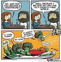 Image result for Vegetarian Pizza Meme