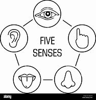 Image result for 5 Senses Symbols