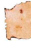 Image result for Burned Paper Edges