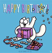 Image result for Gay Cat Birthday Memes