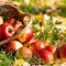 Image result for Fall Apple Food