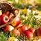 Image result for Fall Apples