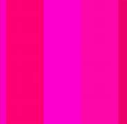 Image result for Hot Pink Colours
