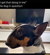 Image result for The Dawg in Me Meme