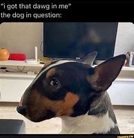 Image result for You Got That Dawg in You Meme