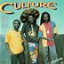 Image result for Culture Band