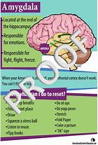 Image result for Small Brain Poster