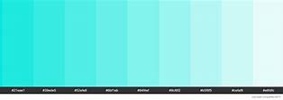 Image result for Bright Turquoise Color