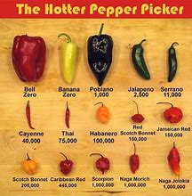Image result for Hot and Spicy Fireworks Scoville Unit