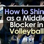 Image result for Volleyball Net and Ball