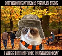 Image result for Grumpy Cat Fall Memes