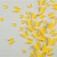 Image result for Pastel Yellow Aesthetic Images