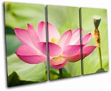 Image result for 10X20 Canvas Print
