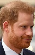 Image result for Prince Harry with Hair