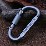 Image result for Hook Safety Buckle