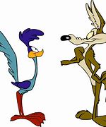 Image result for Road Runner Character