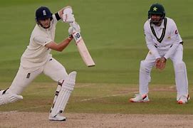 Image result for Cricket Royalty Free Images