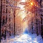 Image result for Wallpaper iPad Air Winter Wood