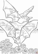 Image result for Flutter Bat Coloring Page