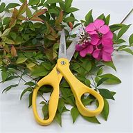 Image result for Flower Scissors